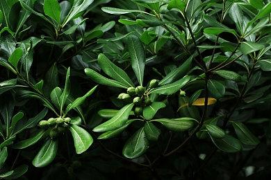 2022年东京电玩展将于9月15日-18日举办